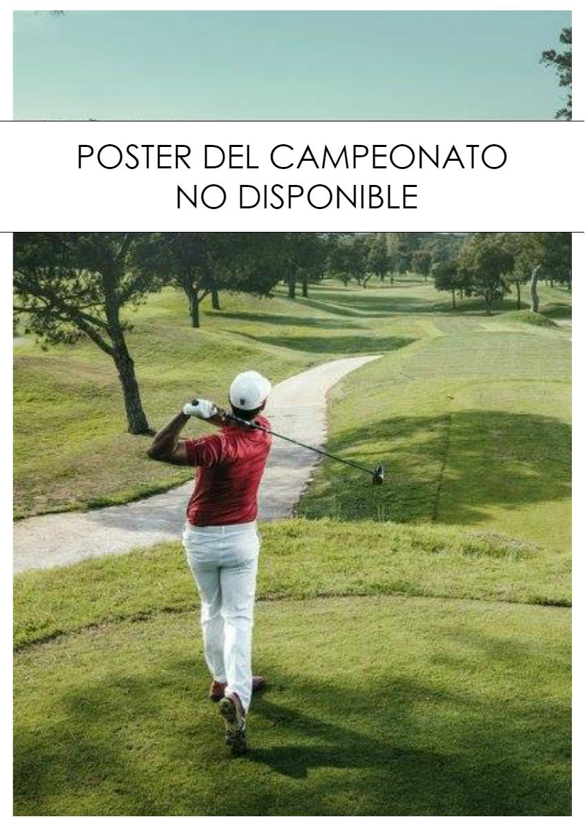 POSTER CAMPEONATO TEMPORAL