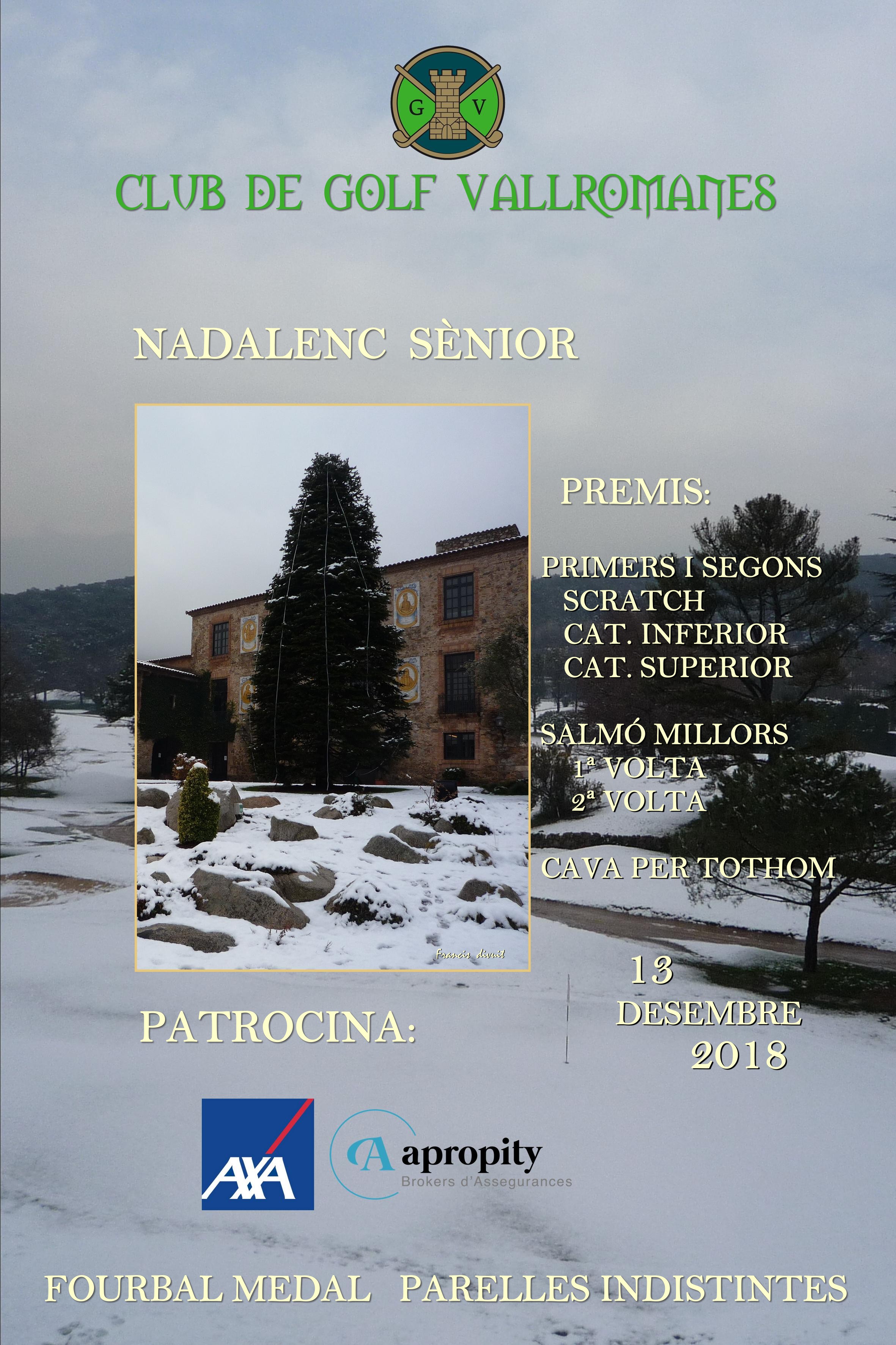 VA nadelenc sènior '18