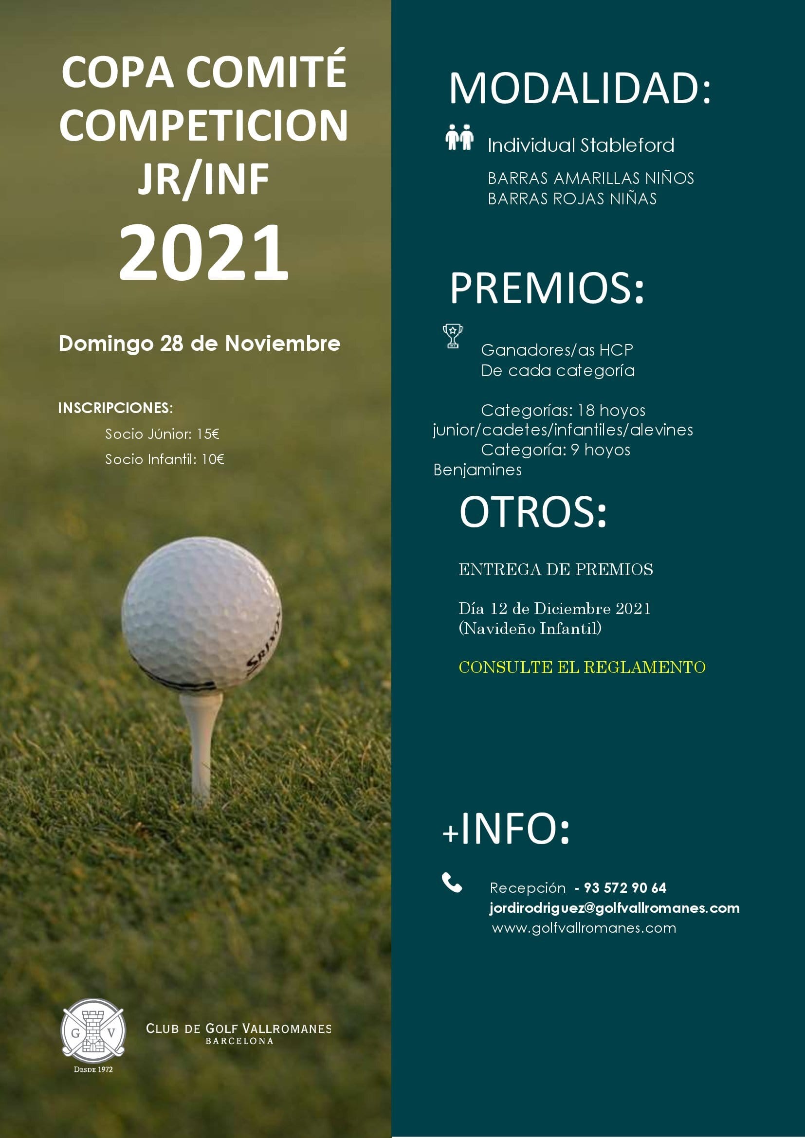 poster copa comite